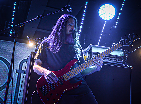 The Aristorats