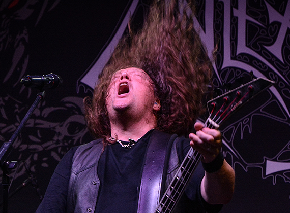 Unleashed